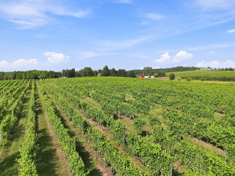 Nelson Road Peninsula Township, MI 49686