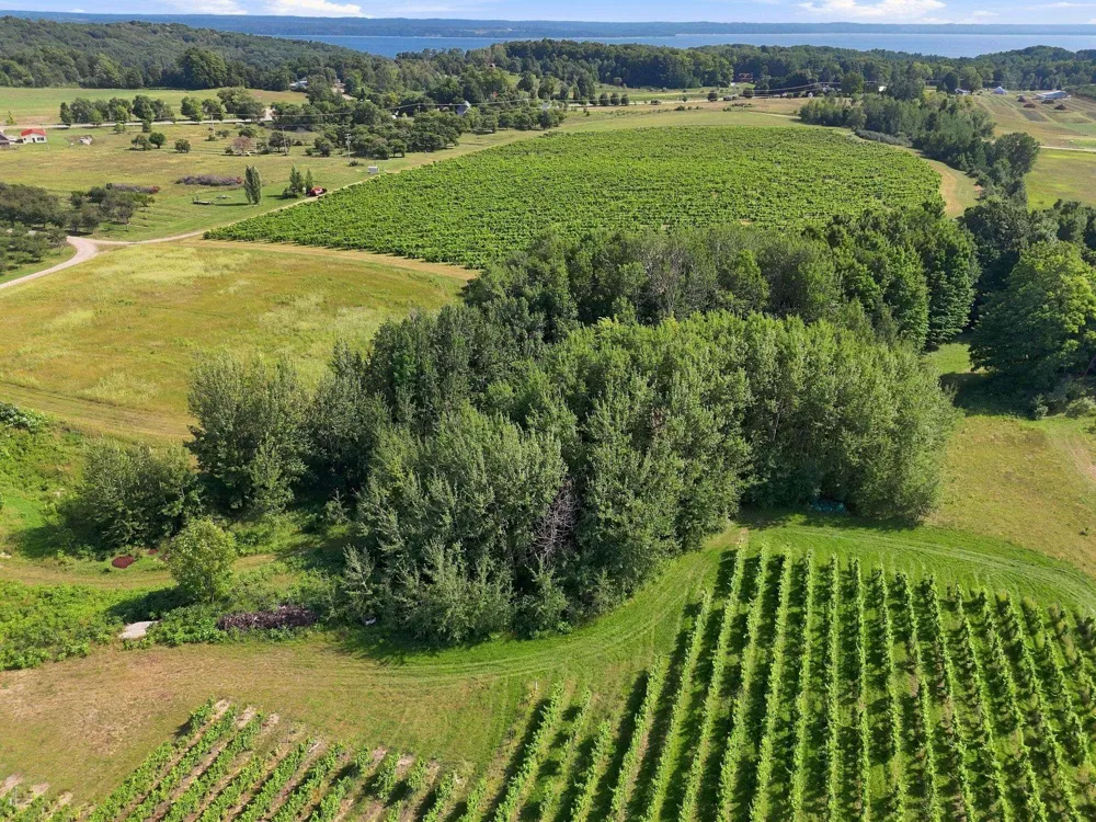 Nelson Road Peninsula Township, MI 49686