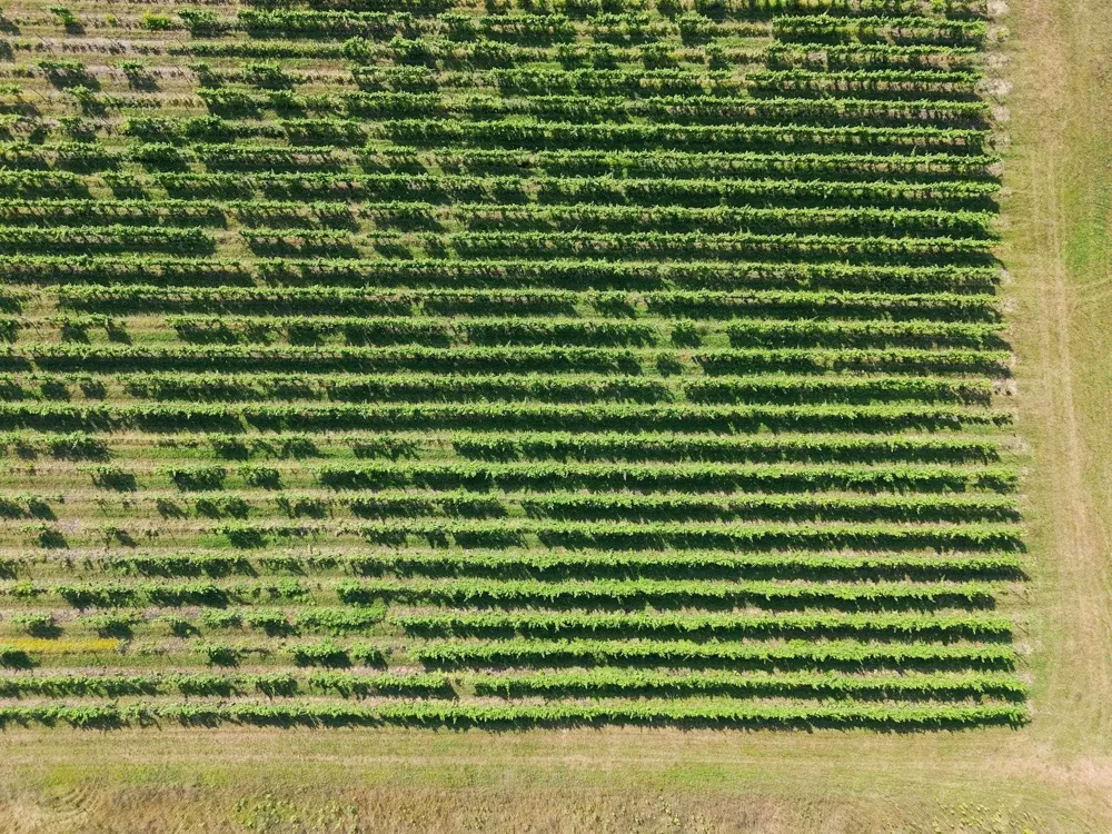 Nelson Road Peninsula Township, MI 49686