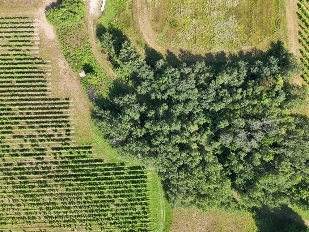 Nelson Road Peninsula Township, MI 49686