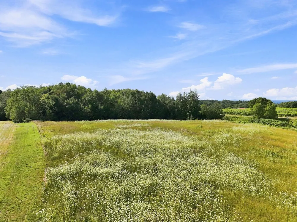Nelson Road Peninsula Township, MI 49686