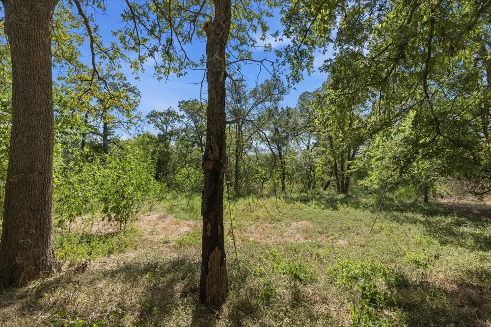 125 Live Oak Drive Cedar Creek, TX 78612
