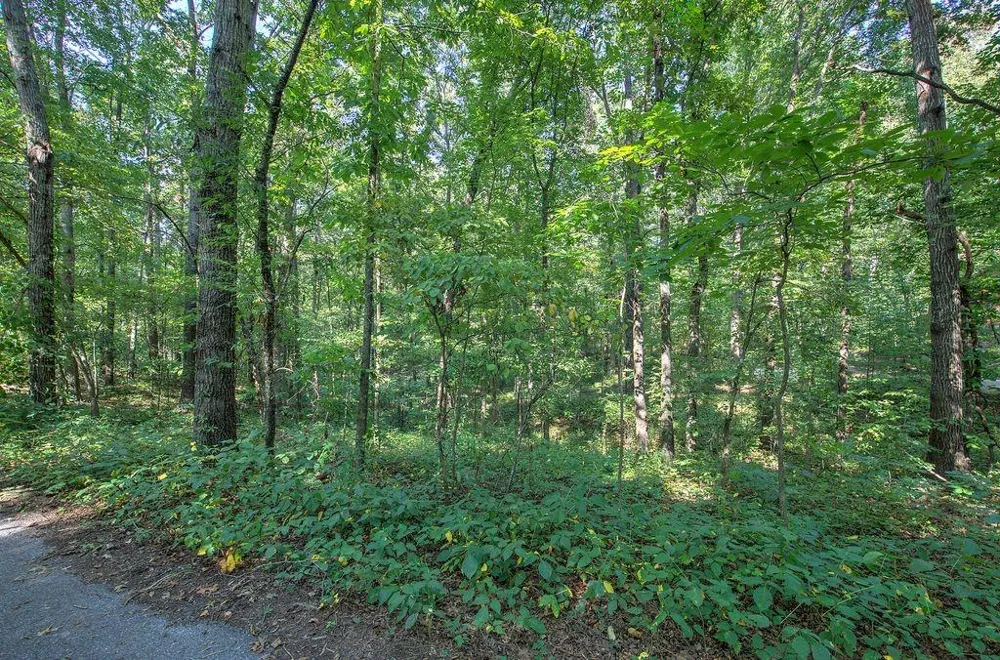 6354 Ga-20 White, GA 30184