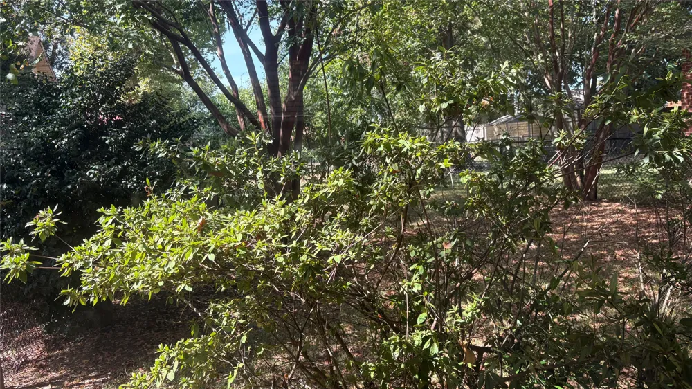 306 E PINE Winnsboro, TX 75494