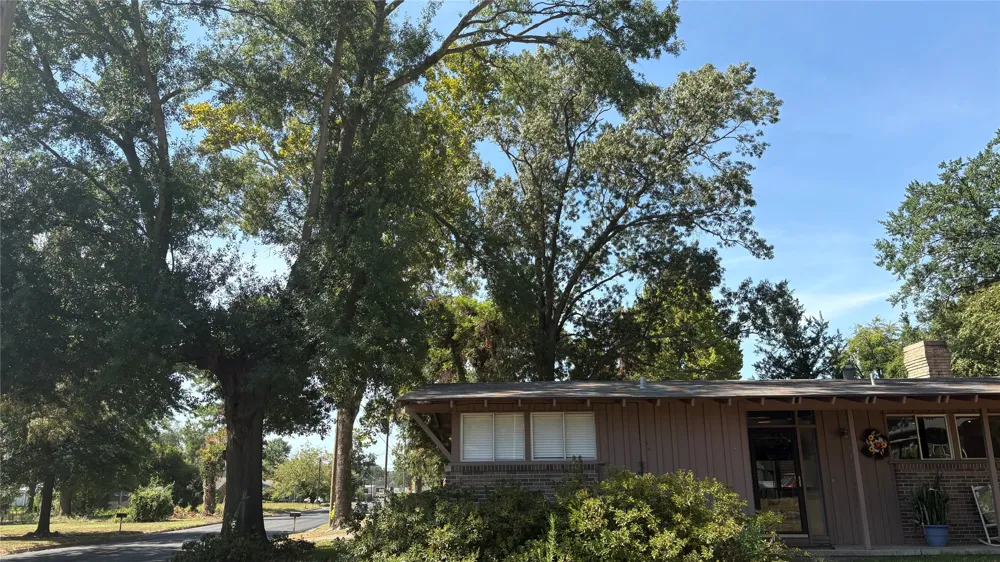 306 E PINE Winnsboro, TX 75494