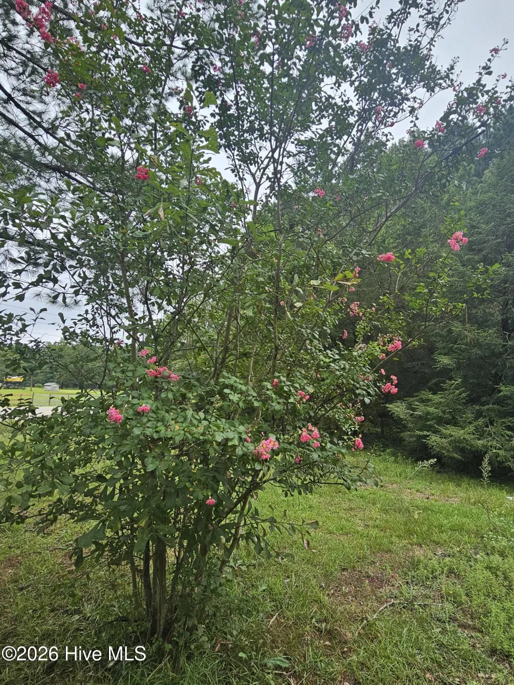 23 Southfork Road Parkton, NC 28371