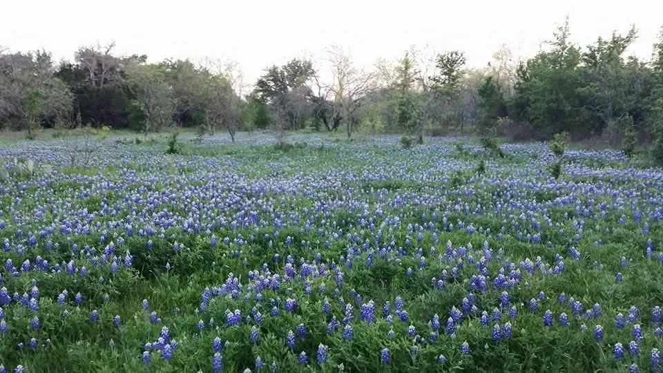 9486 Coppic Ranch Road Brownwood, TX 76801