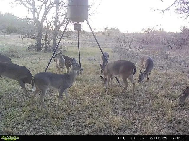 9486 Coppic Ranch Road Brownwood, TX 76801
