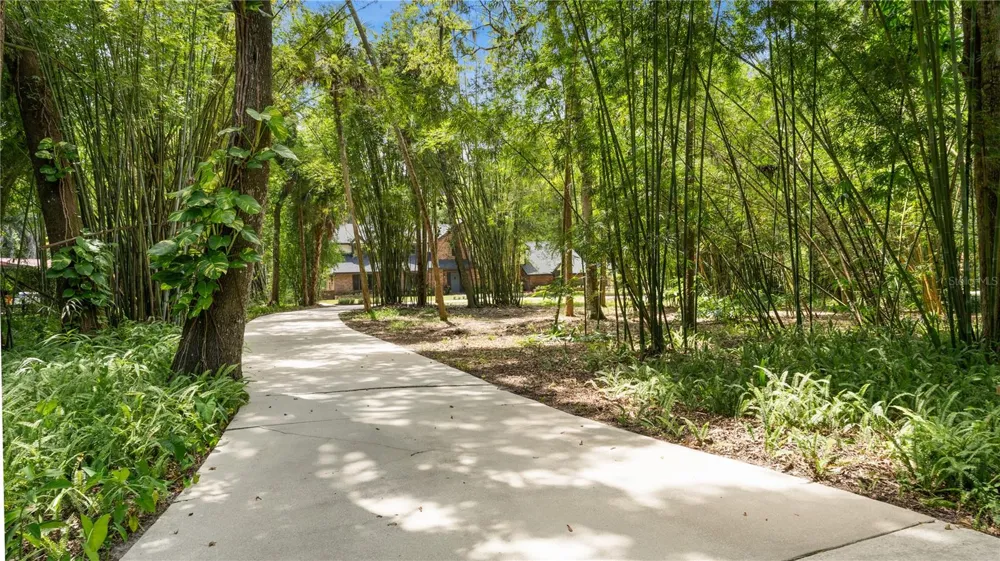 706 S TIMBERLANE DRIVE New Smyrna Beach, FL 32168