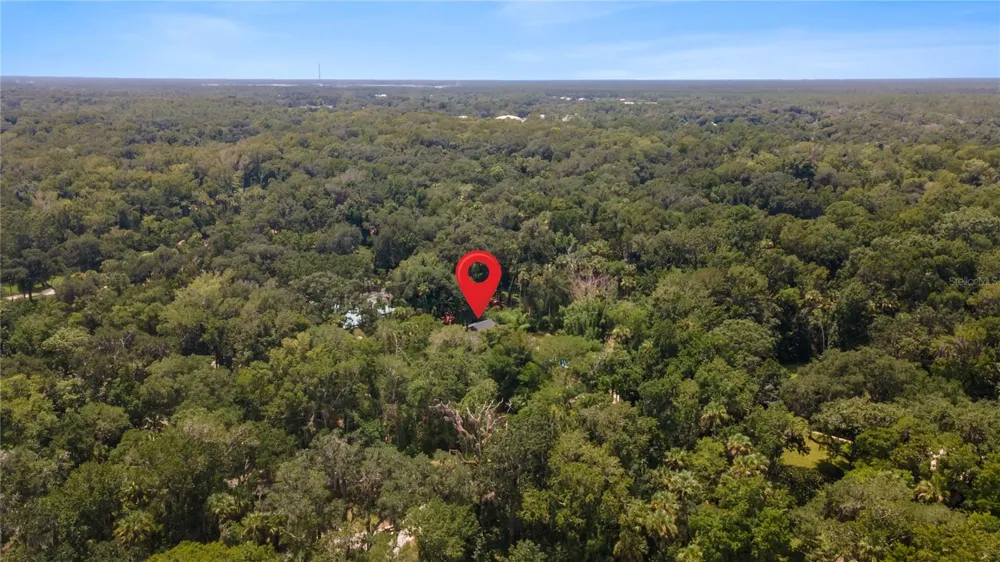 706 S TIMBERLANE DRIVE New Smyrna Beach, FL 32168