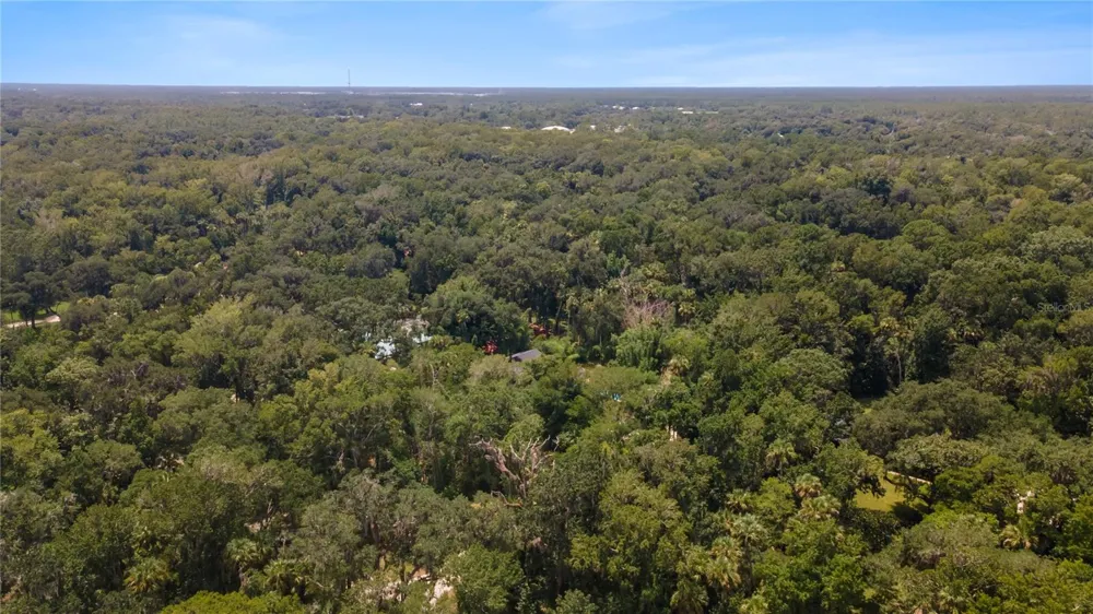 706 S TIMBERLANE DRIVE New Smyrna Beach, FL 32168