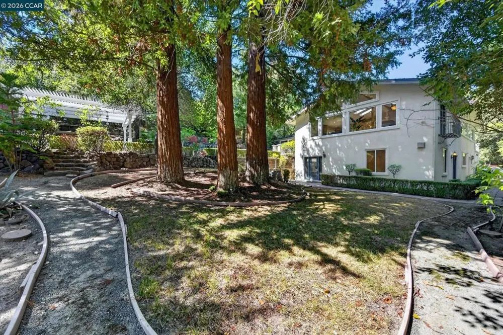 891 Livorna Rd Alamo, CA 94507