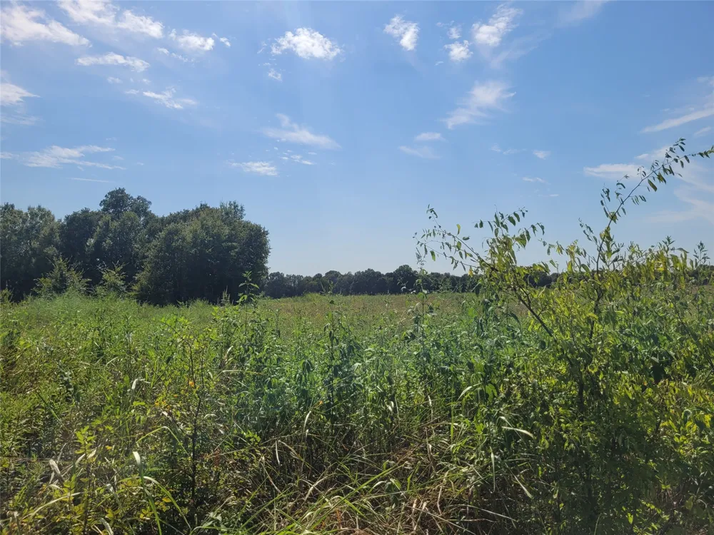 COUNTY ROAD 4135 Clarksville, TX 84526