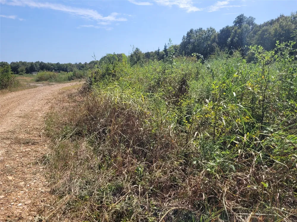 COUNTY ROAD 4135 Clarksville, TX 84526