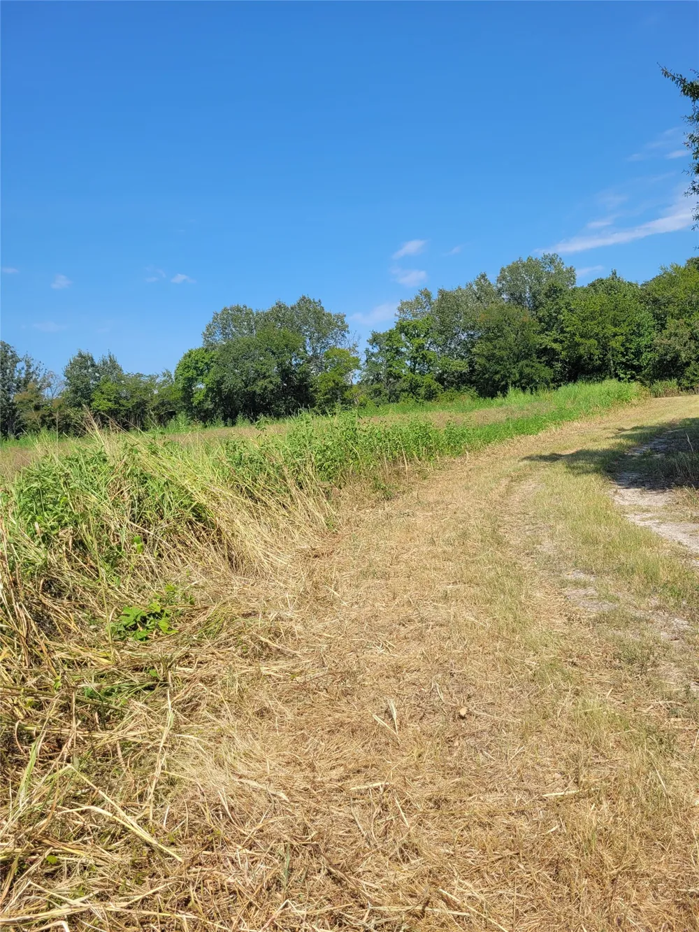 COUNTY ROAD 4135 Clarksville, TX 84526