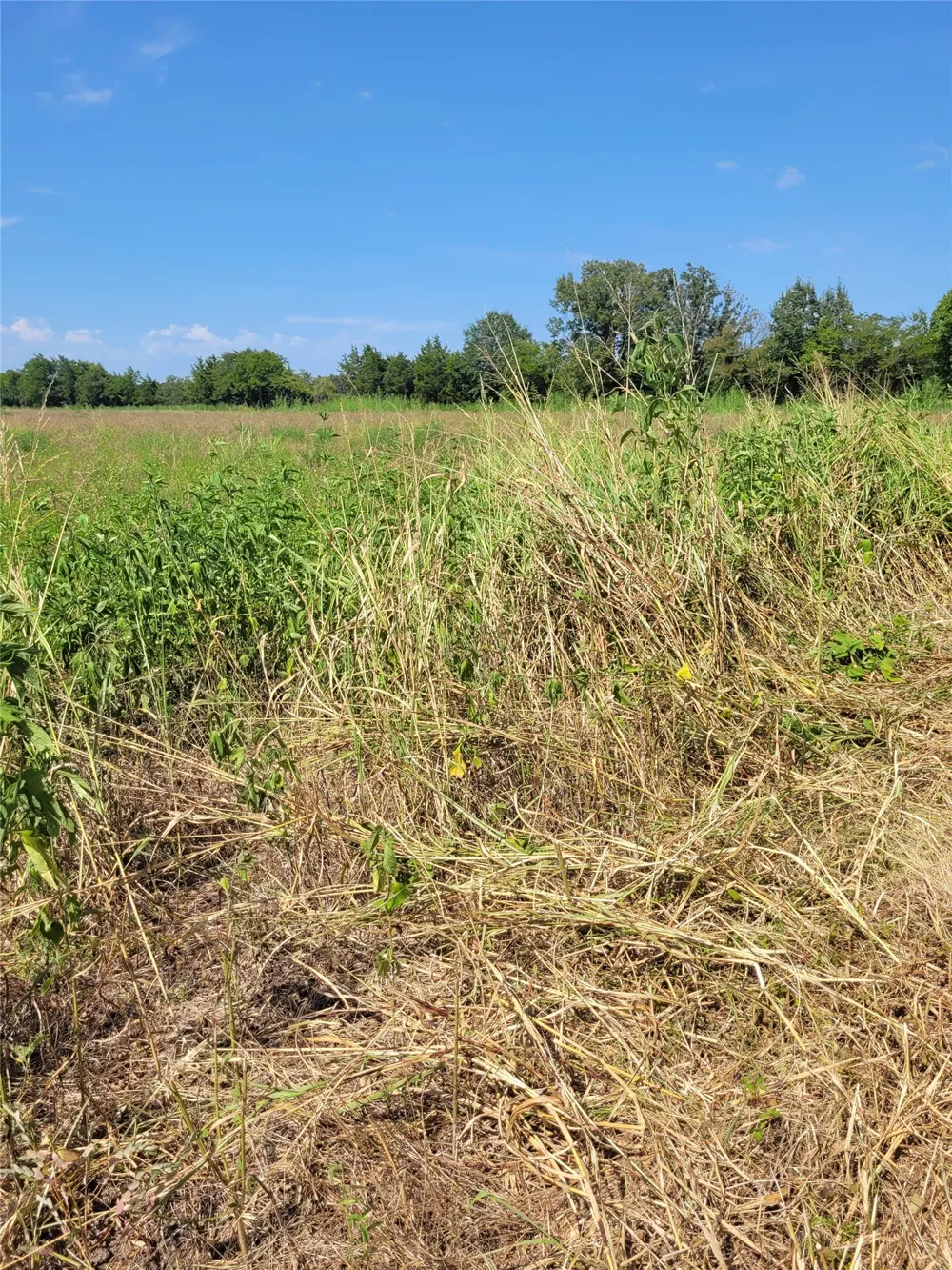 COUNTY ROAD 4135 Clarksville, TX 84526