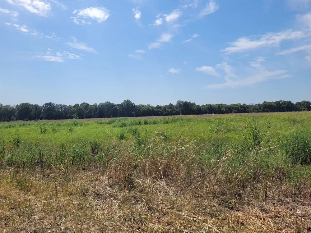 COUNTY ROAD 4135 Clarksville, TX 84526