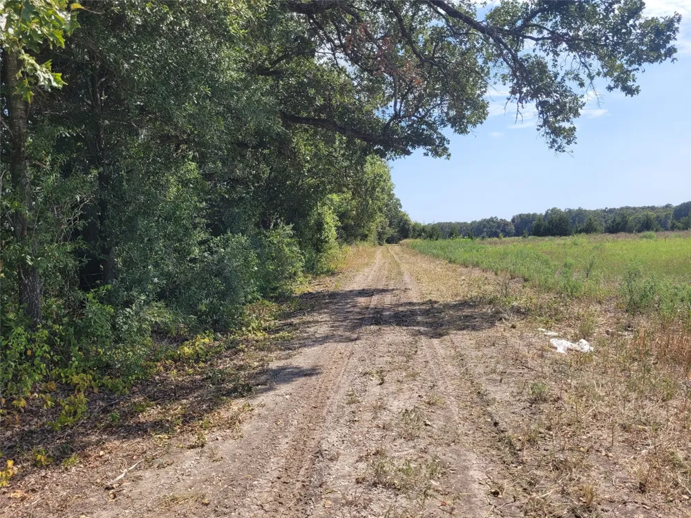 COUNTY ROAD 4135 Clarksville, TX 84526