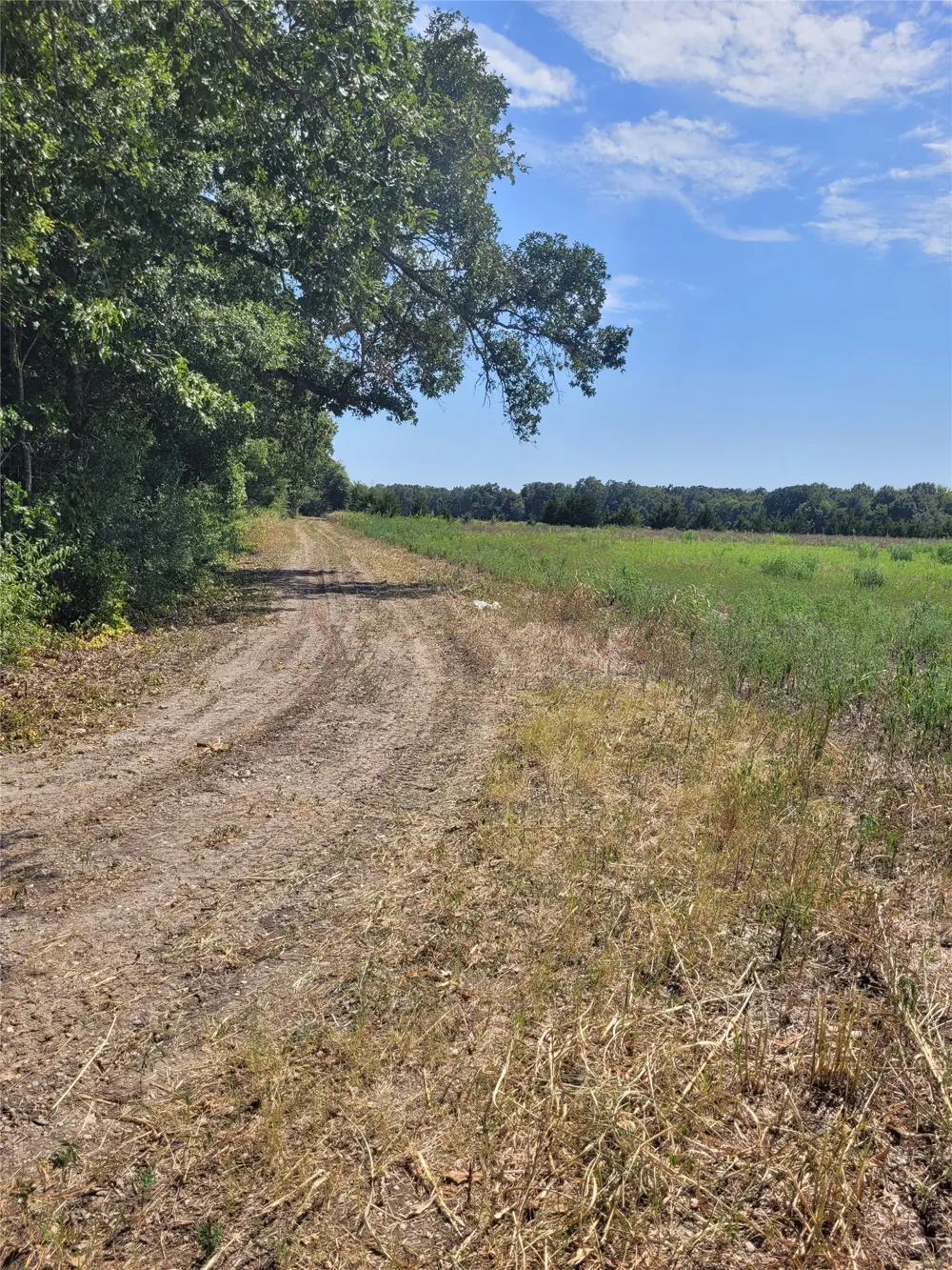 COUNTY ROAD 4135 Clarksville, TX 84526