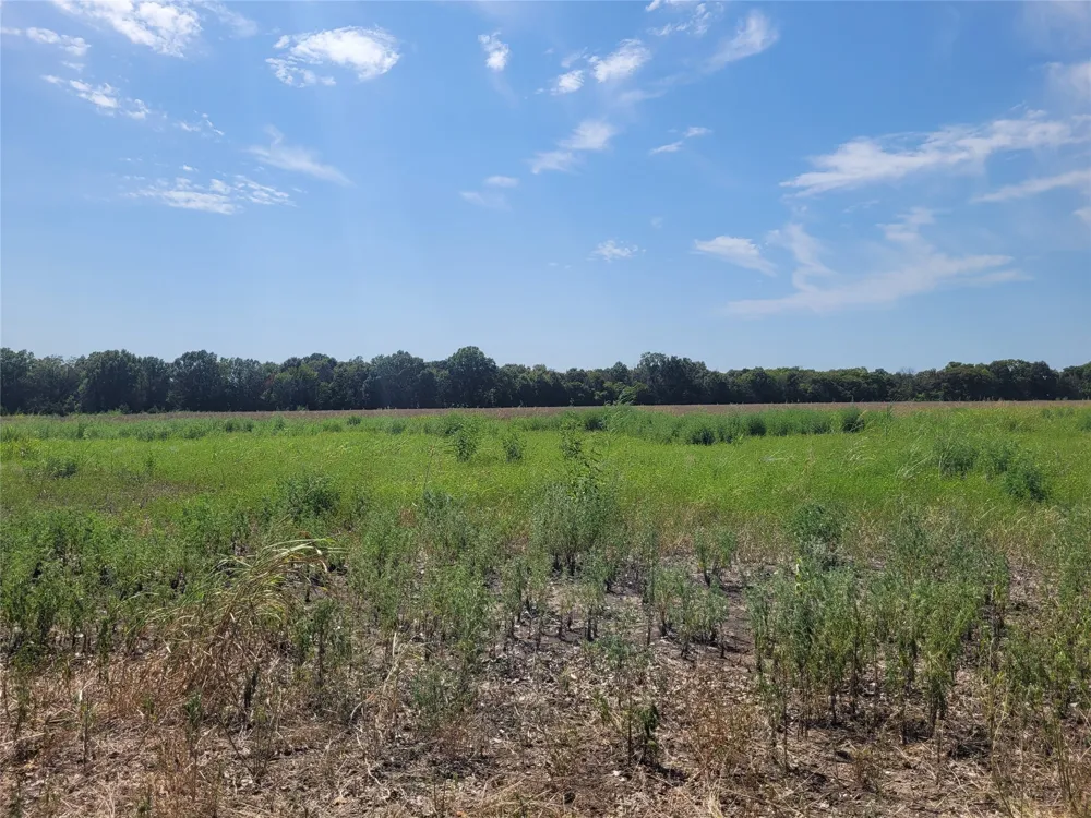 COUNTY ROAD 4135 Clarksville, TX 84526