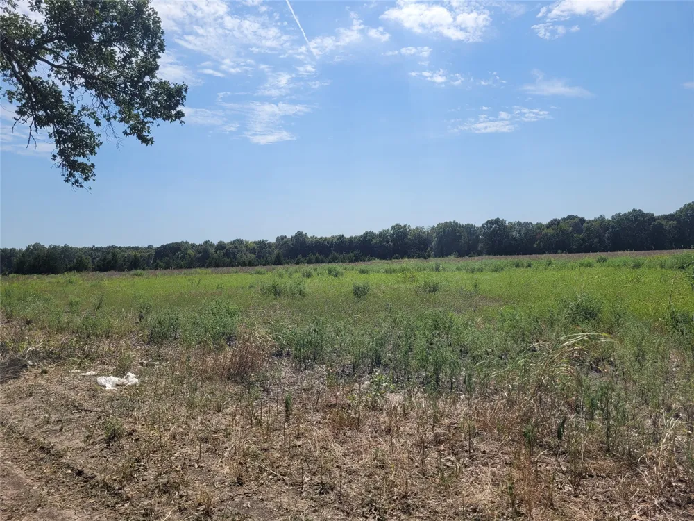 COUNTY ROAD 4135 Clarksville, TX 84526