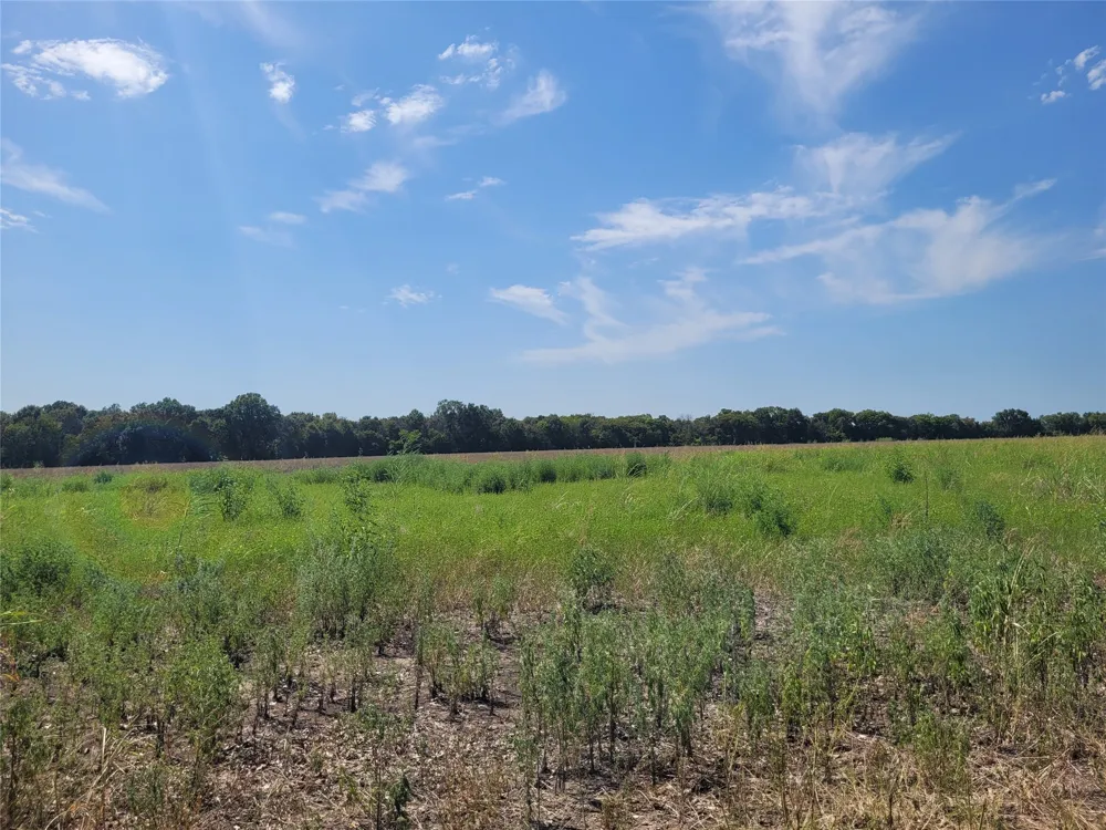 COUNTY ROAD 4135 Clarksville, TX 84526