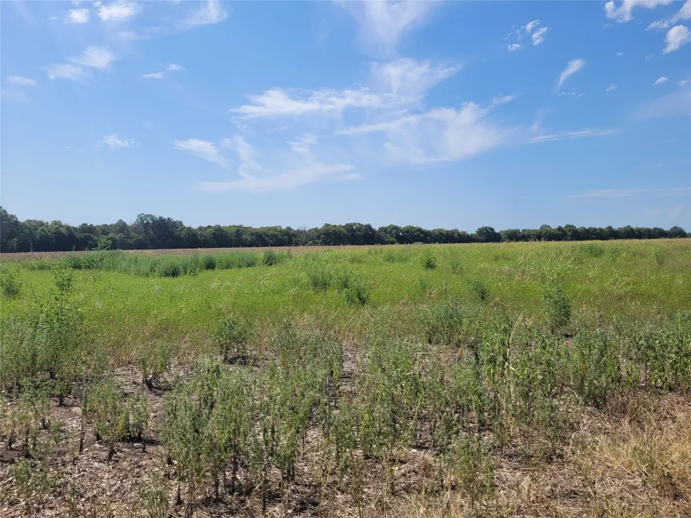 COUNTY ROAD 4135 Clarksville, TX 84526