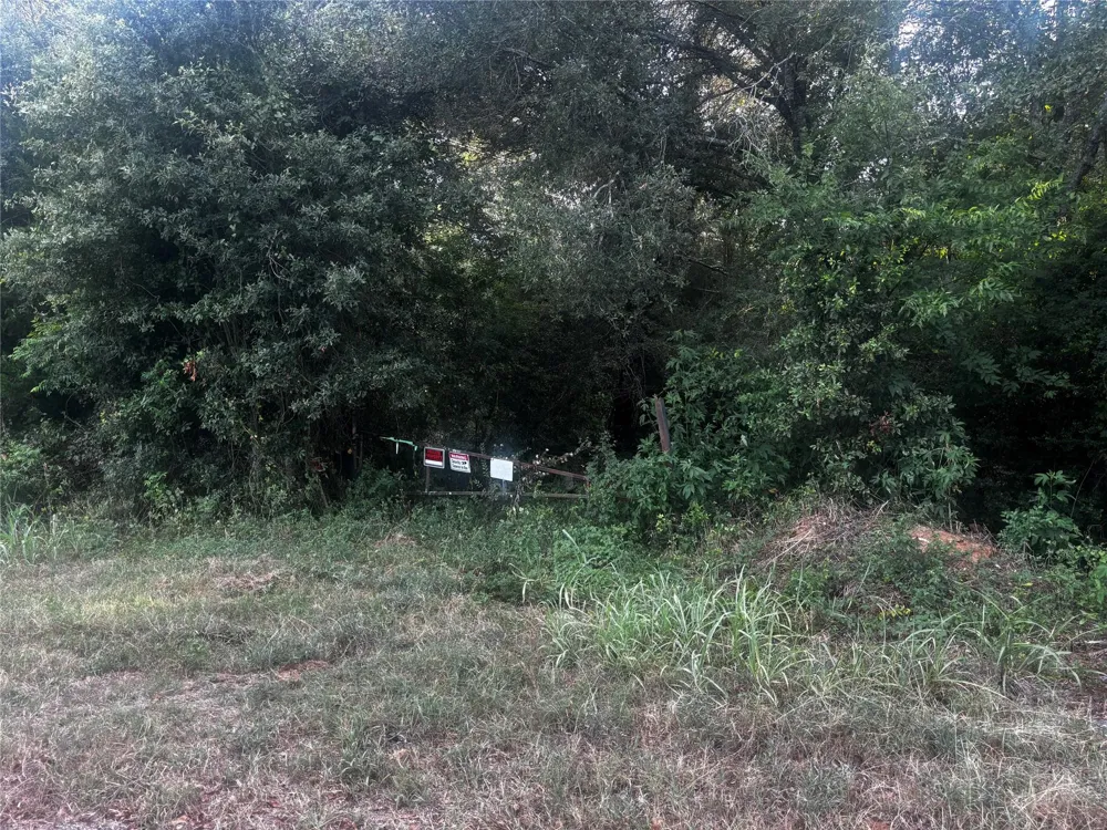 County Road 139 Leona, TX 75850