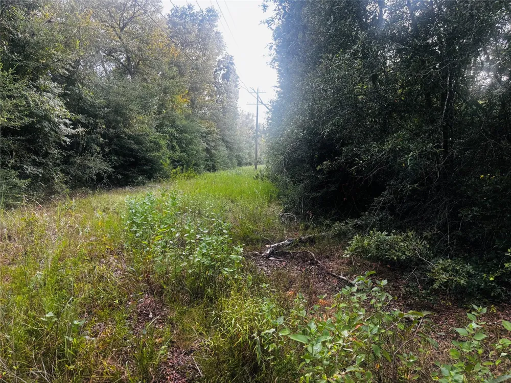 County Road 139 Leona, TX 75850