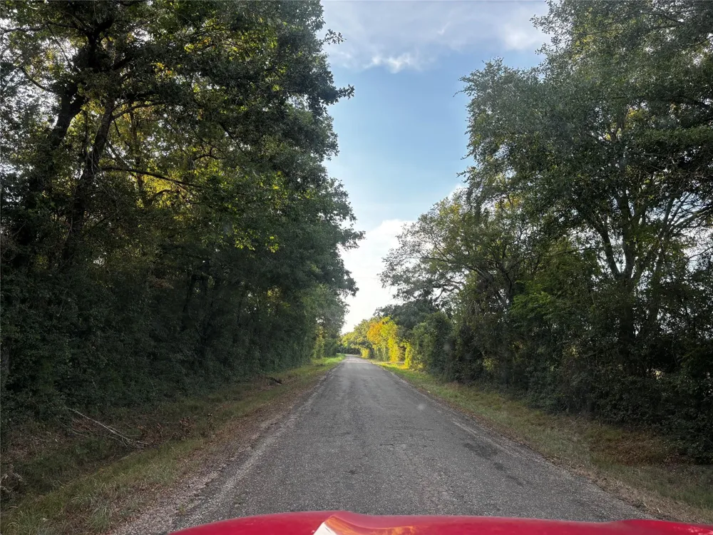 County Road 139 Leona, TX 75850