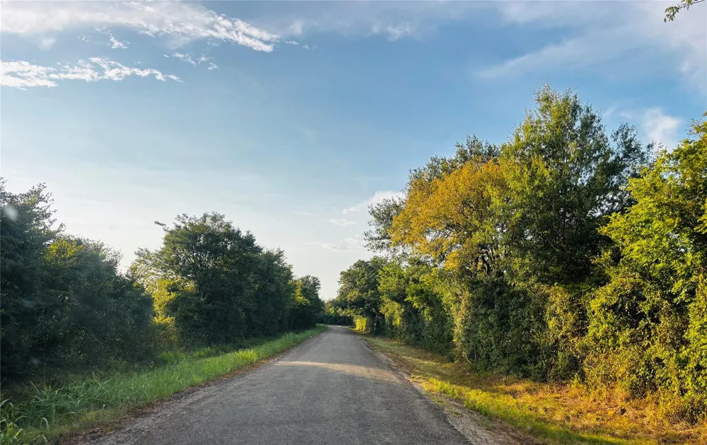 County Road 139 Leona, TX 75850