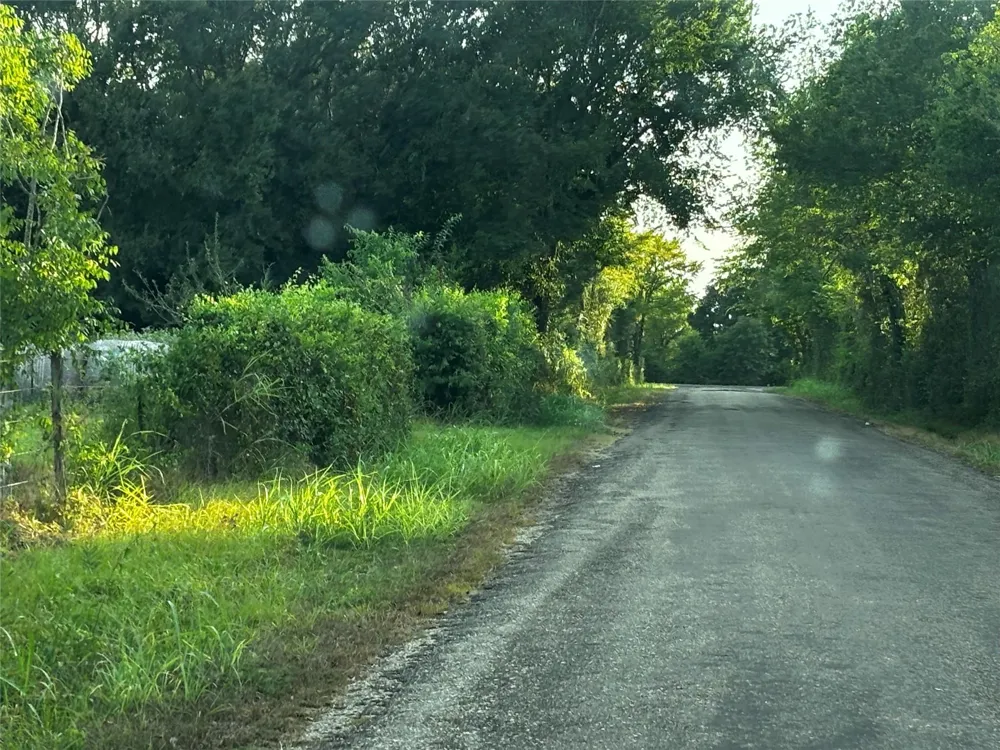 County Road 139 Leona, TX 75850