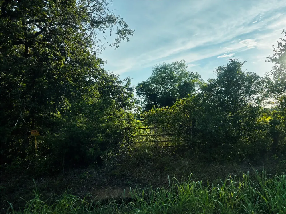 County Road 139 Leona, TX 75850