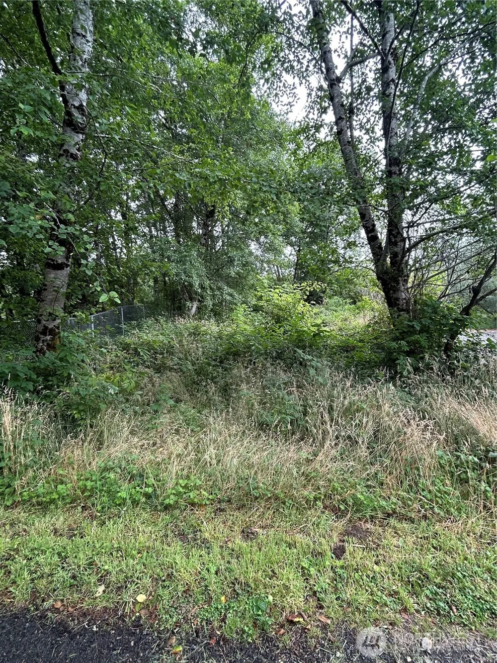 1403 state rt 105 Grayland, WA 98547