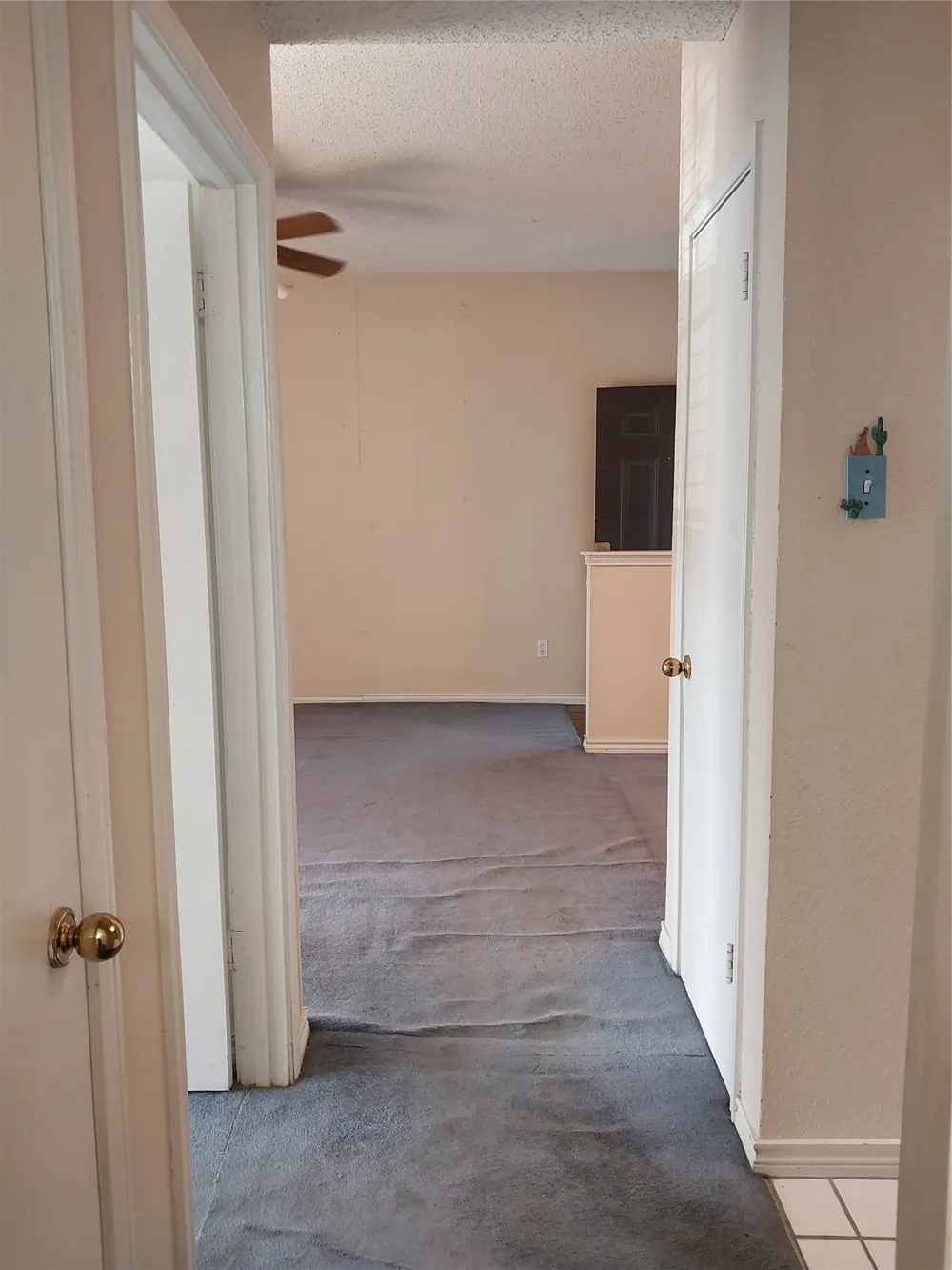 3629 W Northgate Drive #137 Irving, TX 75062