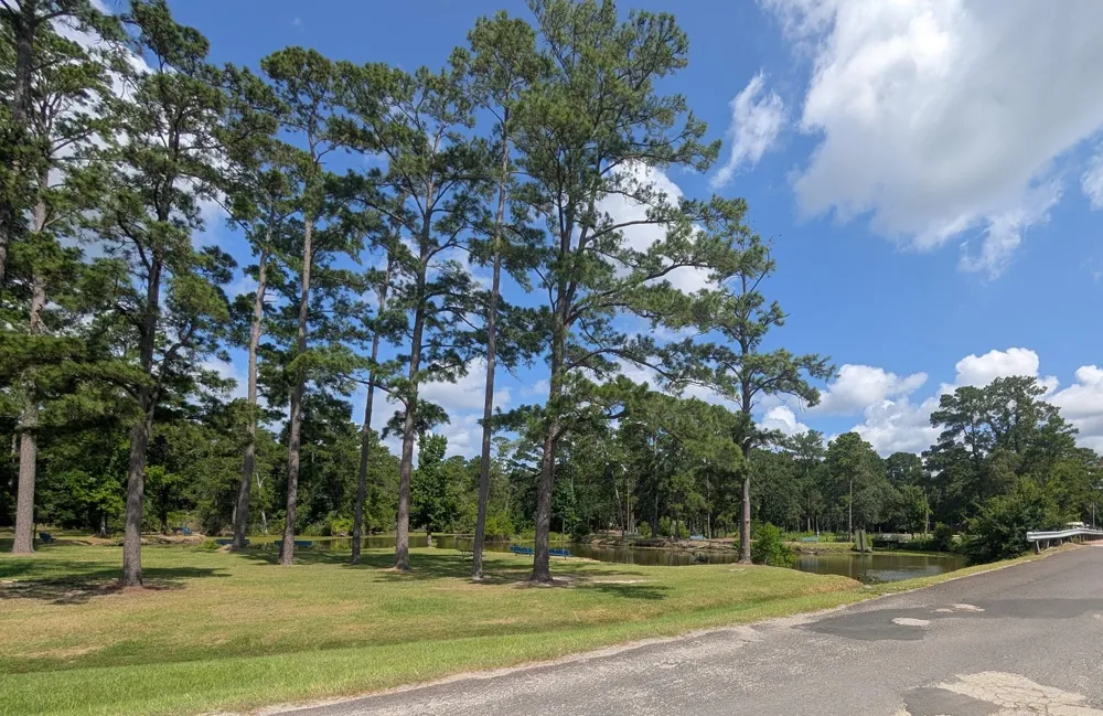 1274 Cardinal Lane Trinity, TX 75862