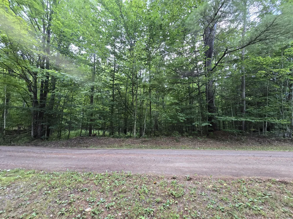 610 W Millerton Road Scottville, MI 49454