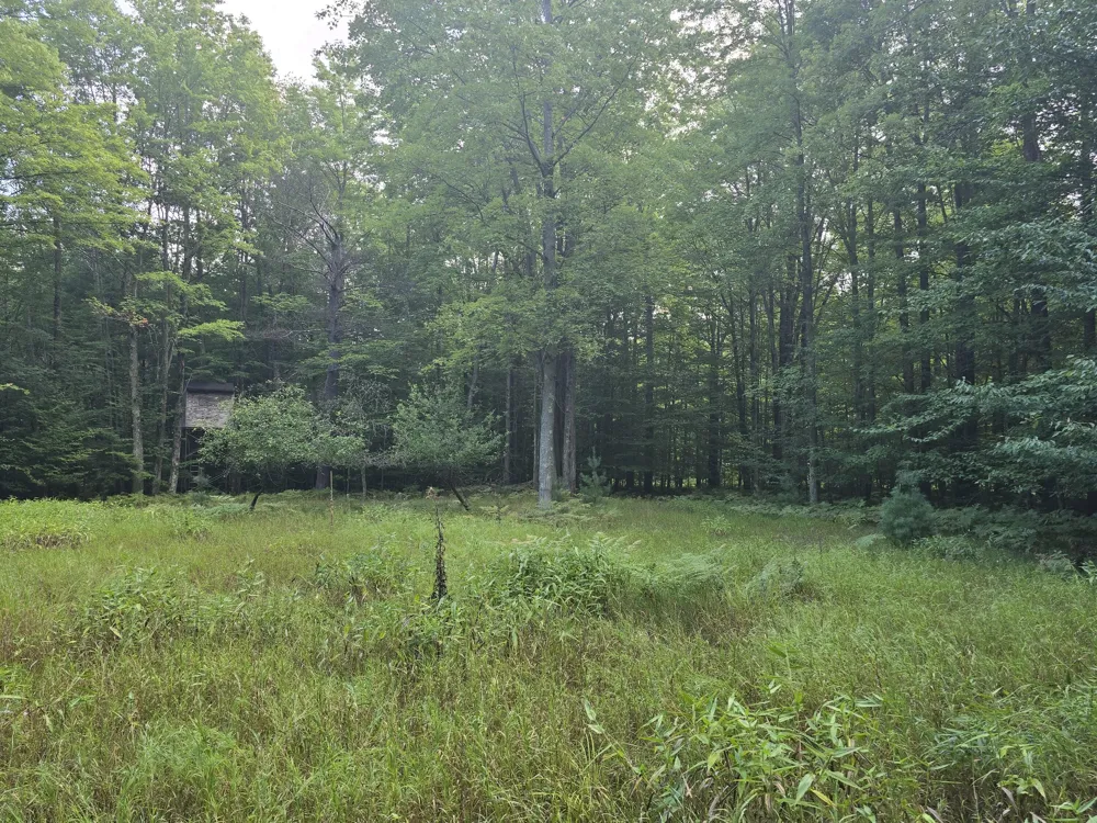 610 W Millerton Road Scottville, MI 49454