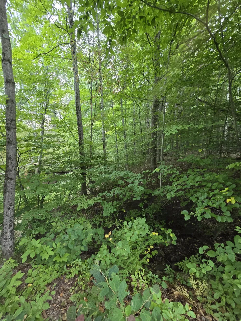610 W Millerton Road Scottville, MI 49454