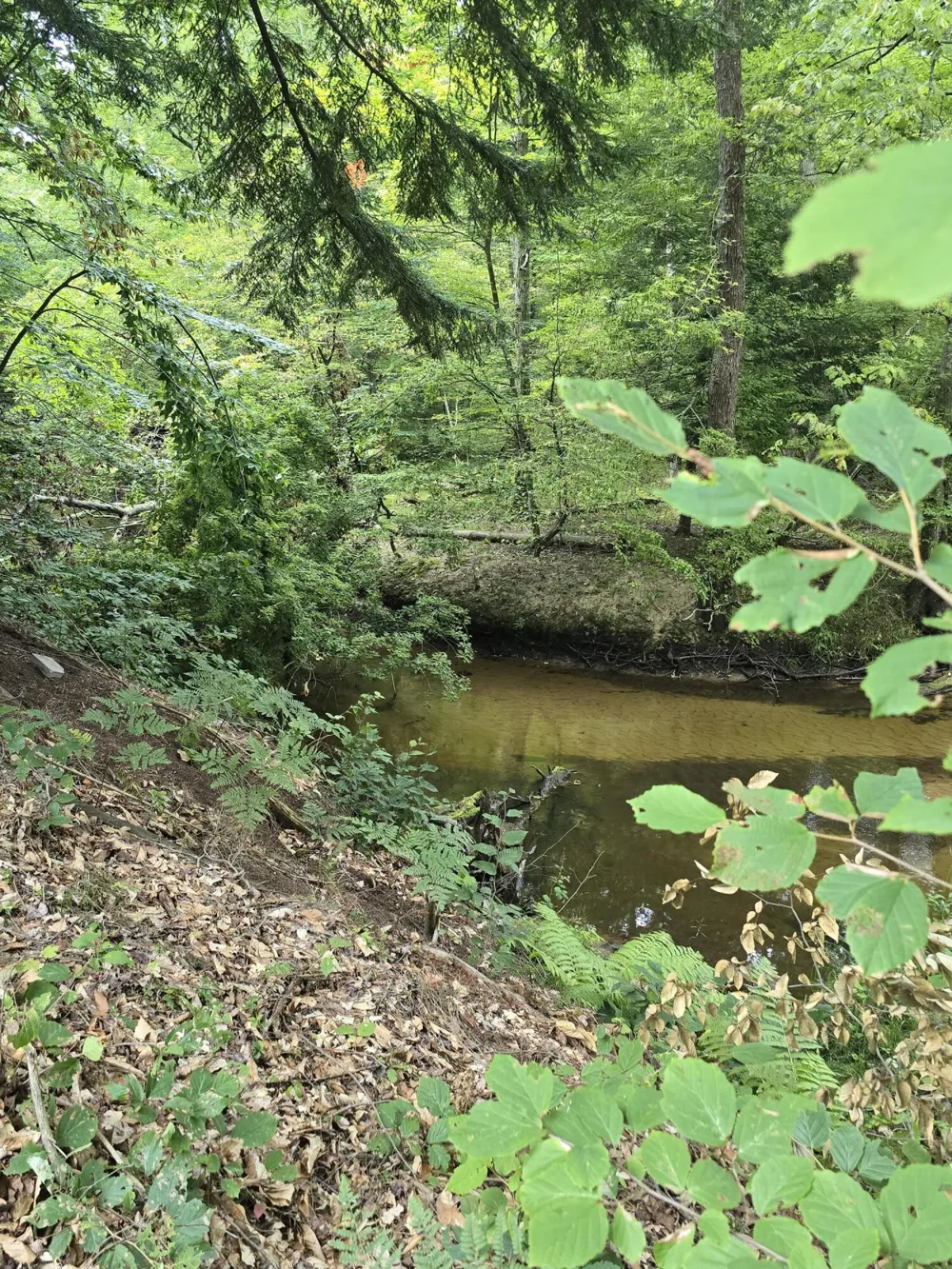 610 W Millerton Road Scottville, MI 49454