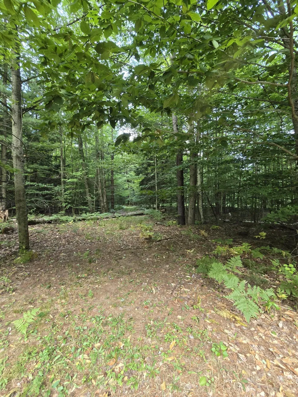 610 W Millerton Road Scottville, MI 49454