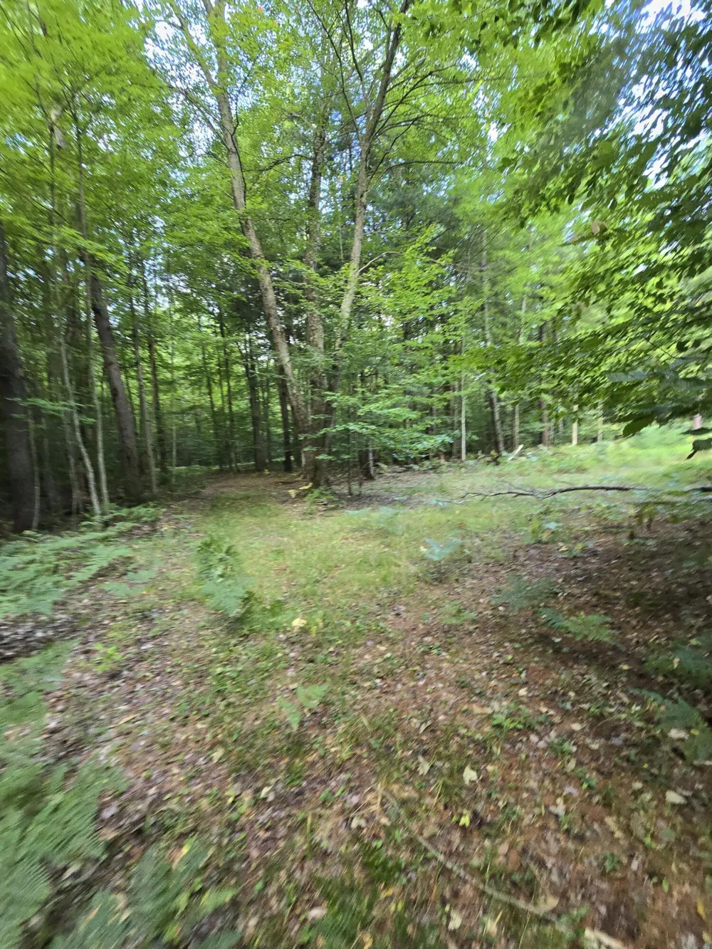 610 W Millerton Road Scottville, MI 49454
