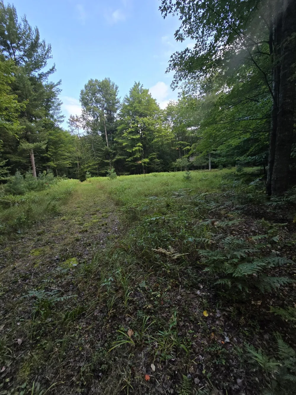 610 W Millerton Road Scottville, MI 49454