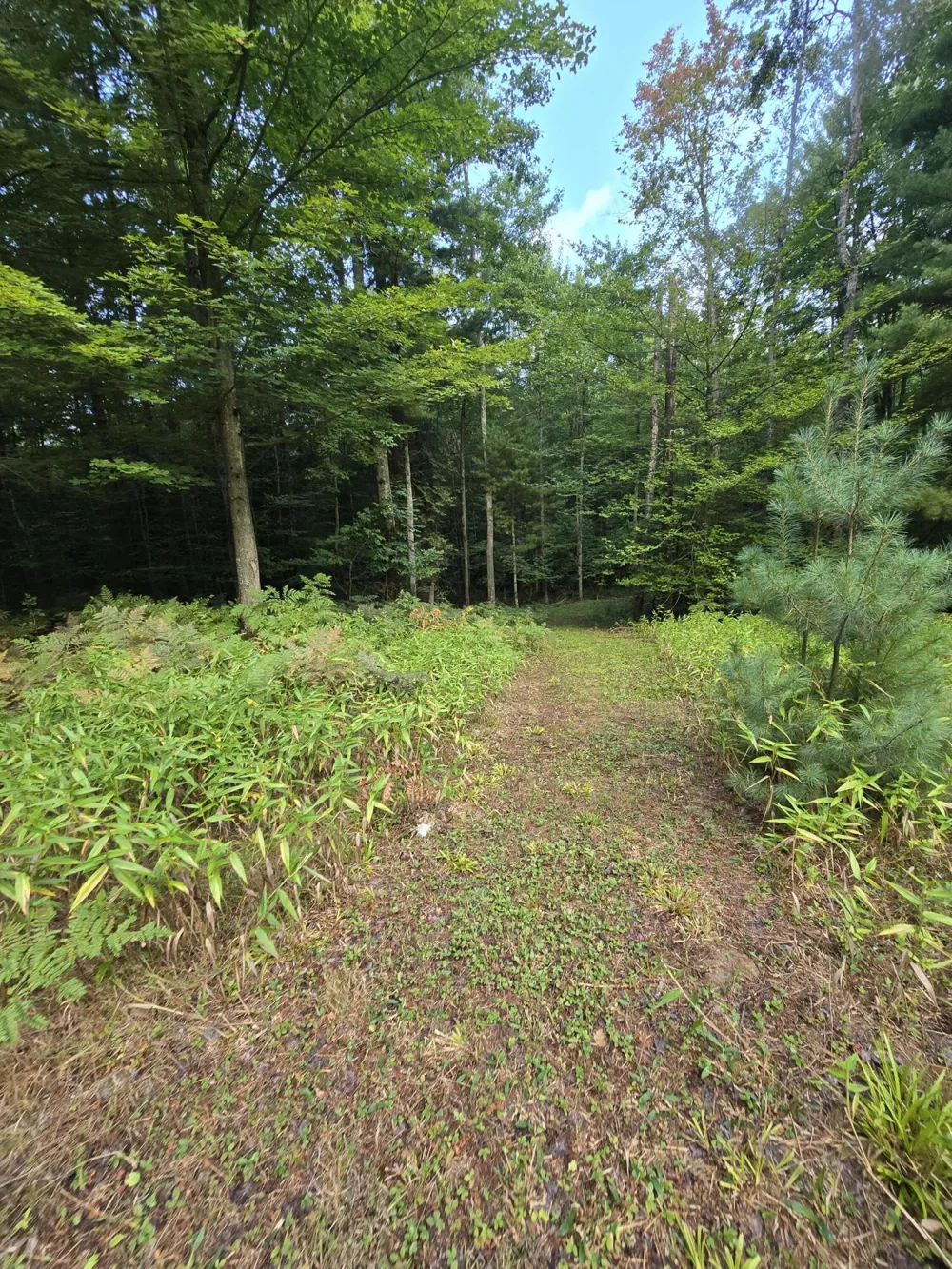 610 W Millerton Road Scottville, MI 49454