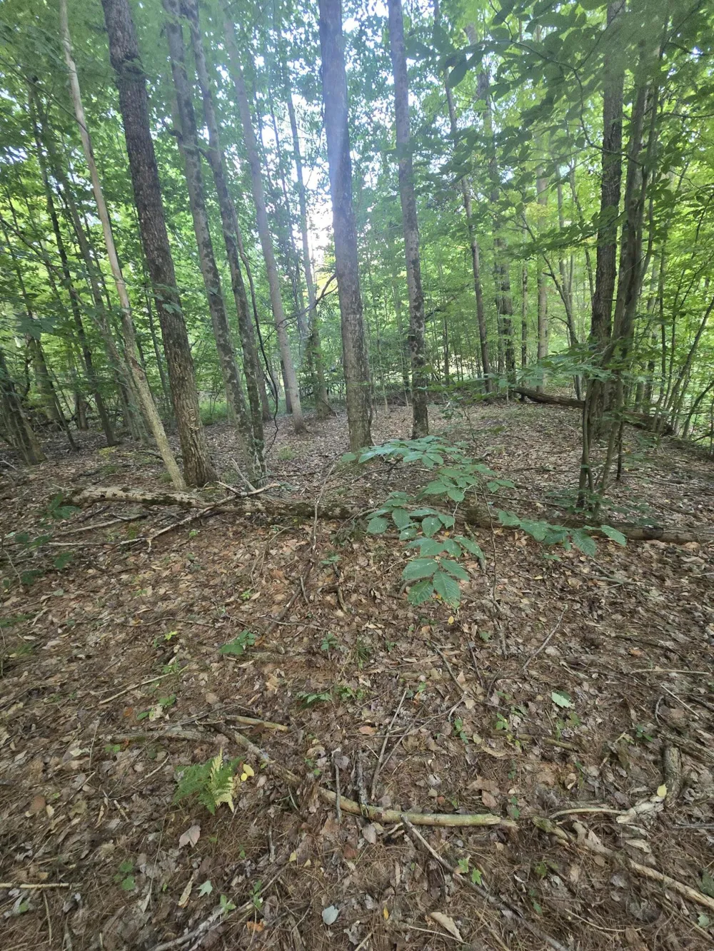 610 W Millerton Road Scottville, MI 49454