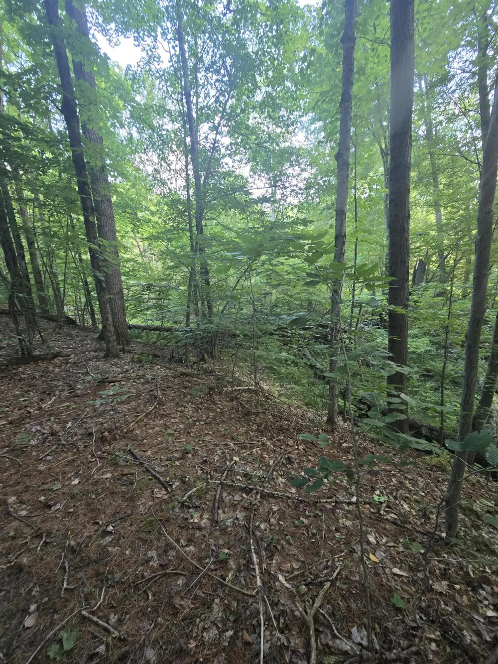 610 W Millerton Road Scottville, MI 49454