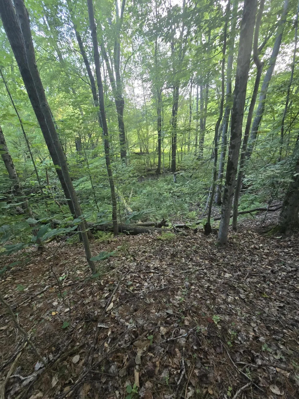 610 W Millerton Road Scottville, MI 49454