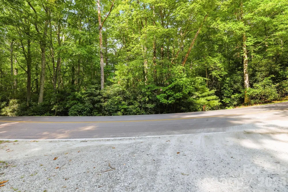 M L33 Cardinal Drive Lake Toxaway, NC 28747