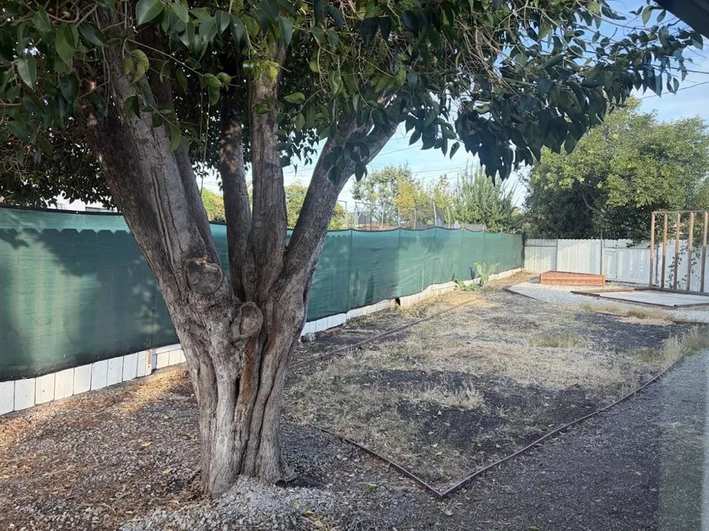 2638 Icefield Court Santa Clara, CA 95051