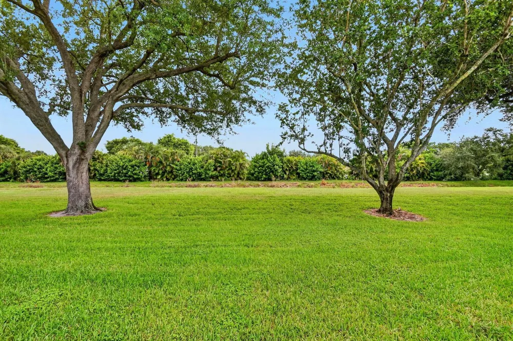 9965 Papaya Tree Trail #A Boynton Beach, FL 33436